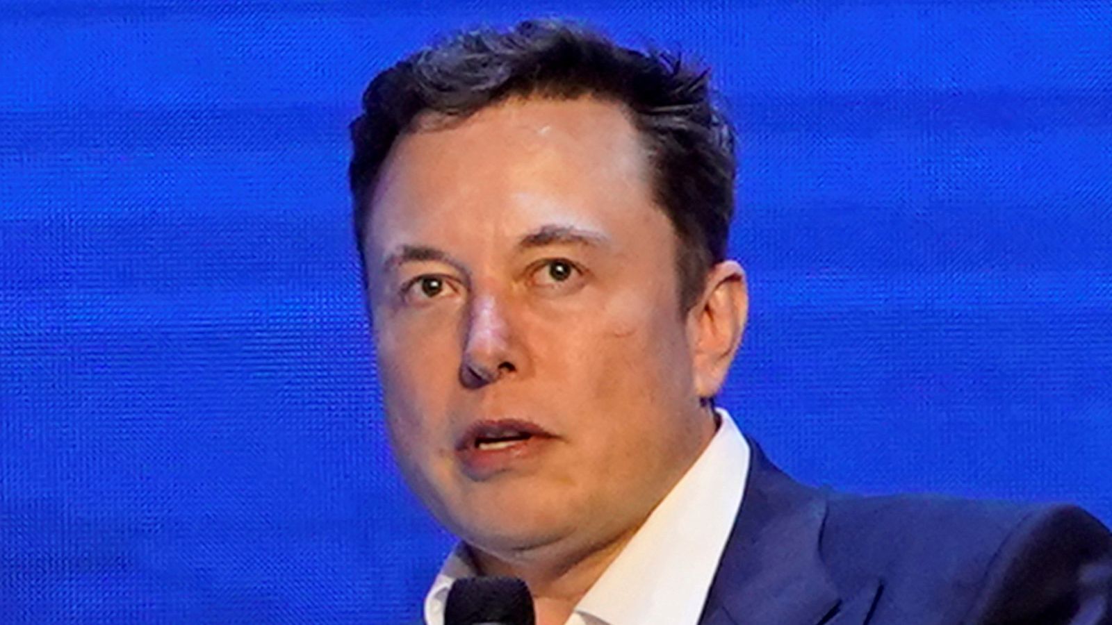 Илон Маск говорит, что его собака теперь является генеральным директором Twitter