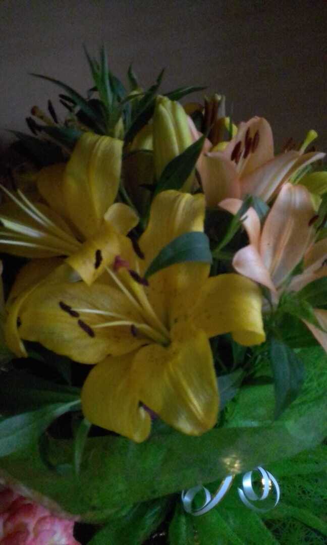 Желтые краски весны, лета и осени. Смотрим и наслаждаемся.