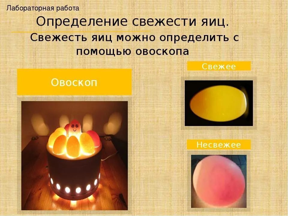 Как узнать яйцо. Овоскопирование свежесть яйца. Определить свежесть яиц в воде. Как определить свежесть яиц в домашних условиях. Как определить свежее яйцо.