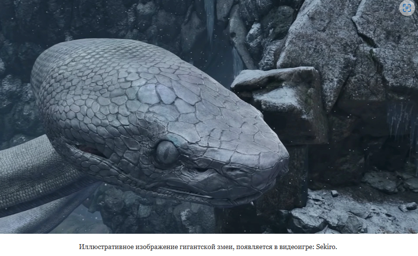 Гигантские змеи, ужас прошлого?
