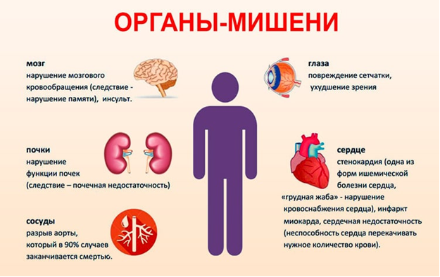 Органы мишени при гипертонической болезни. Артериальная гипертензия поражение органов мишеней. Признаки поражения органов мишеней при артериальной гипертензии. Органы мишени при артериальной гипертонии.