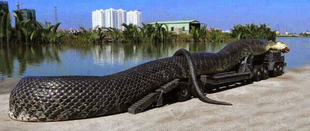 Гигантские змеи - ужас прошлого или настоящего?