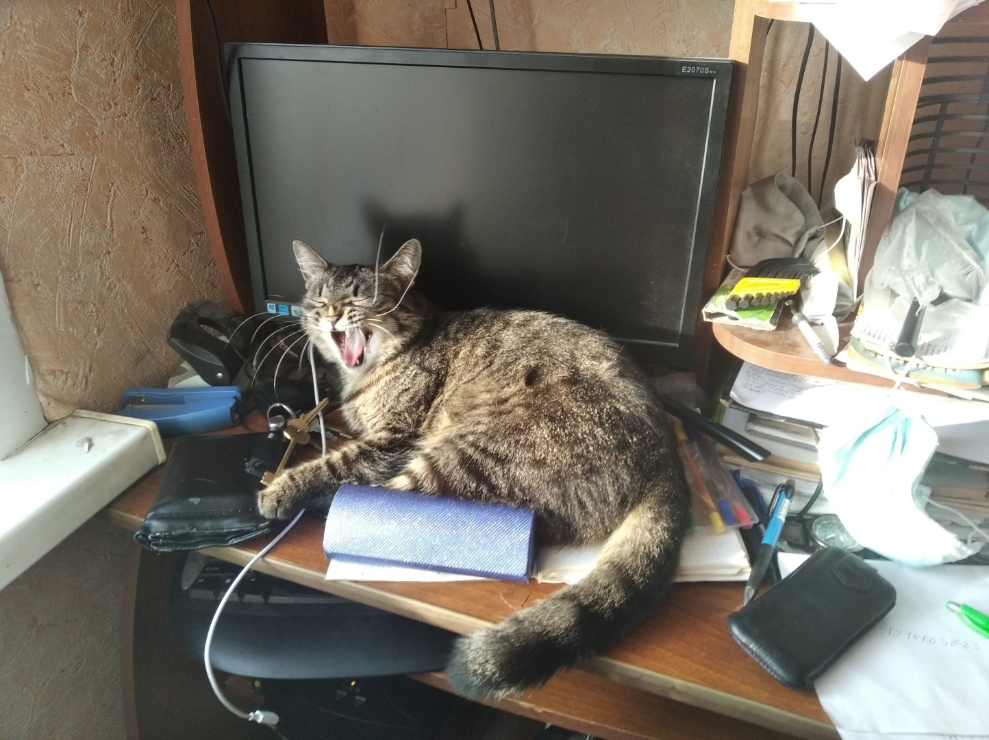 Как болеть в школе, или делать уроки школьные больным?