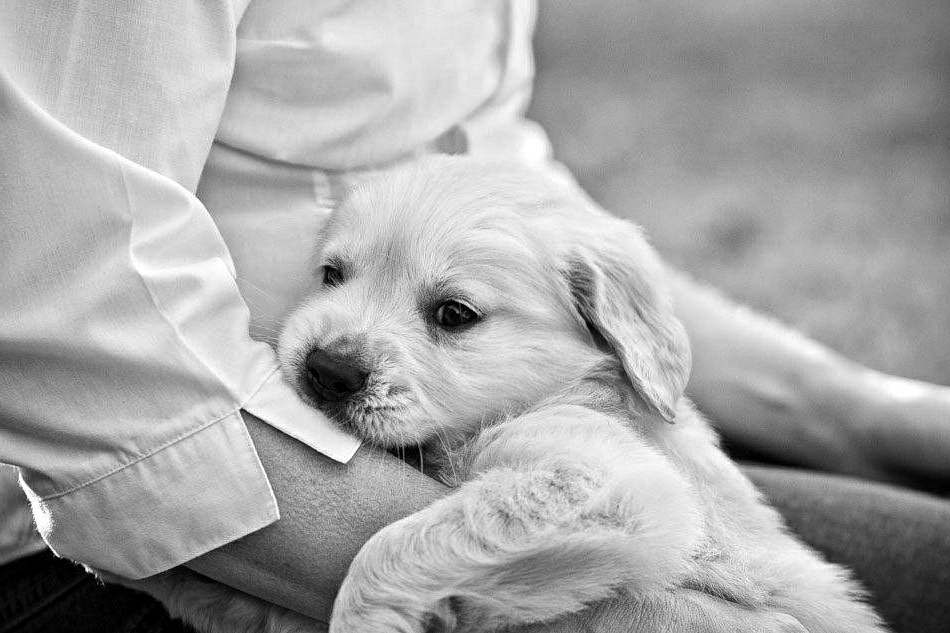 Удивительный психологический приём, узнав его, вам люди начнут доверять