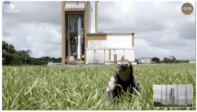 Ленивец отвлекает зрителей во время миссии ЕКА "Сок" к Юпитеру!