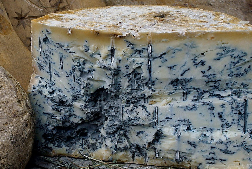 Сыры с плесенью: так всё же больше пользы или вреда от их употребления в пищу