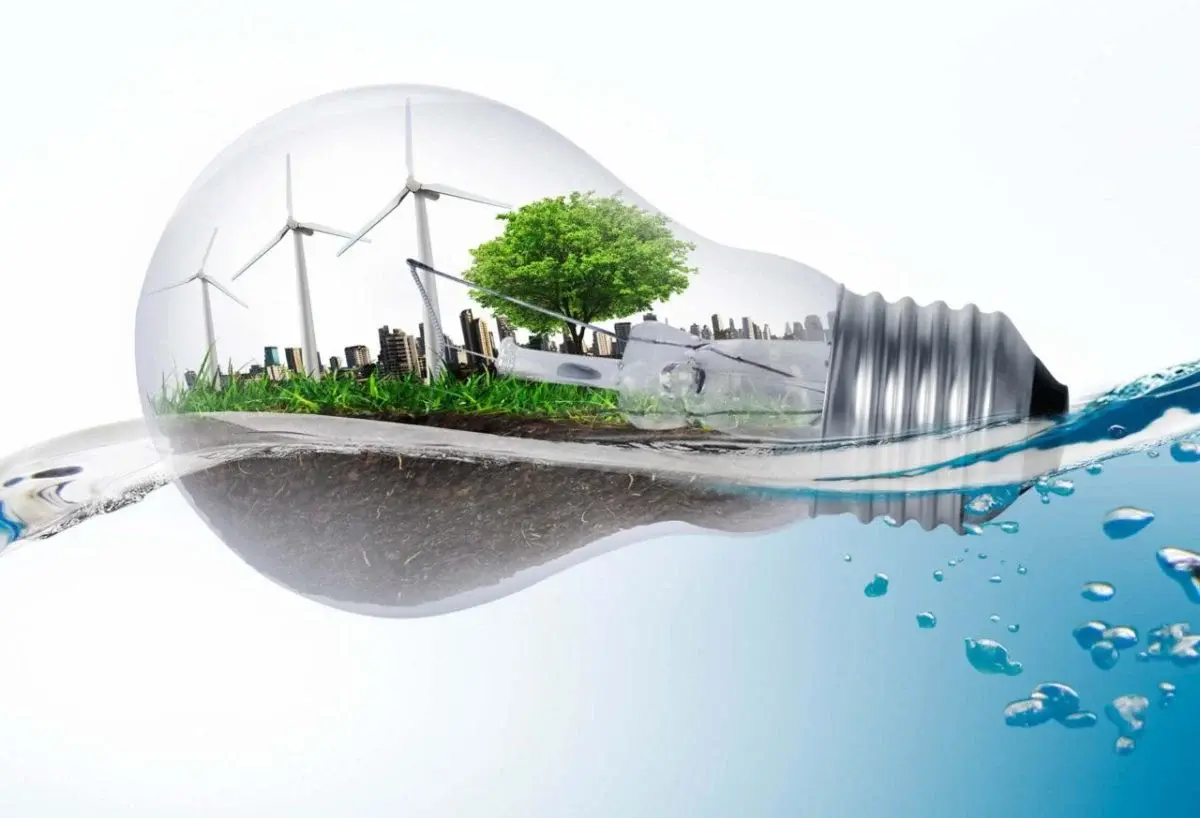 8 проектов сохранения природы