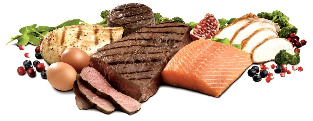 Что такое белок и какова его роль в снижении веса