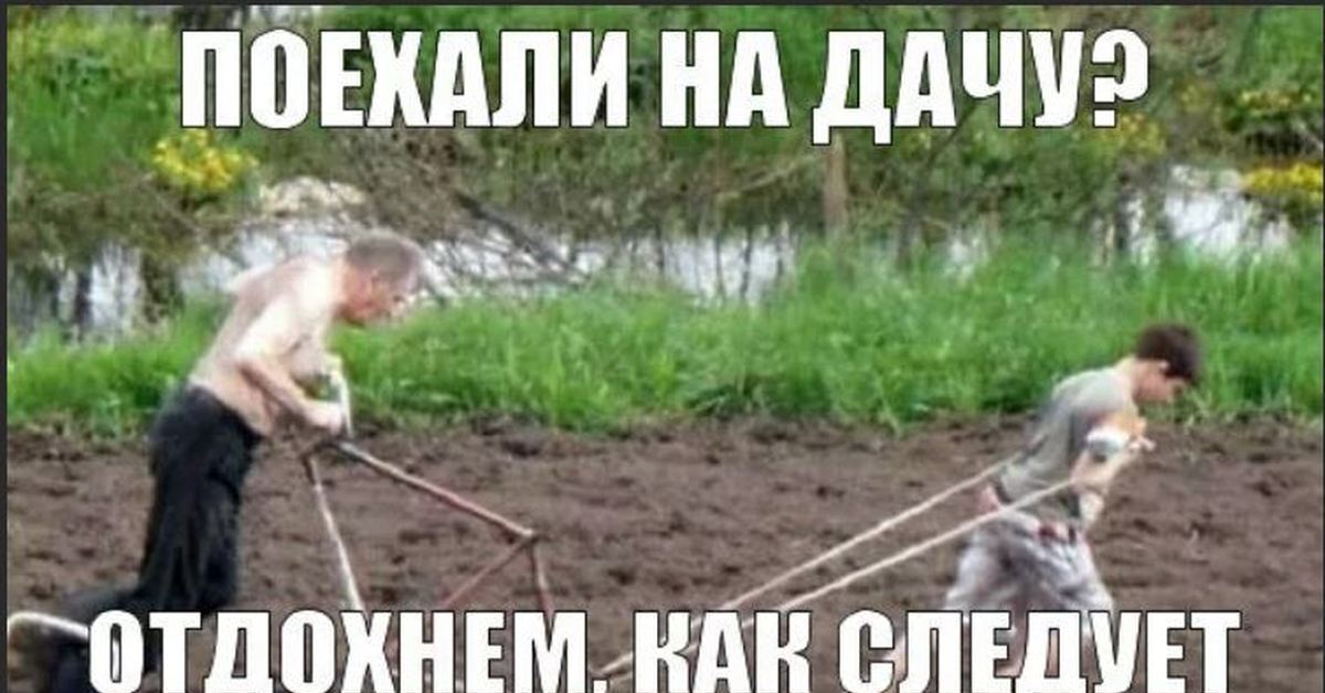 Едем на дачу картинки прикольные