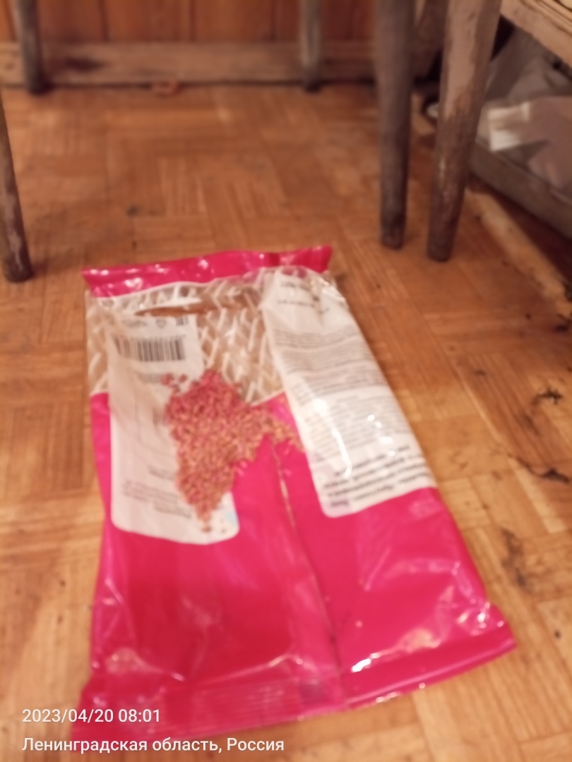 Сработало так, что мышей жалко стало, Божьих тварей...