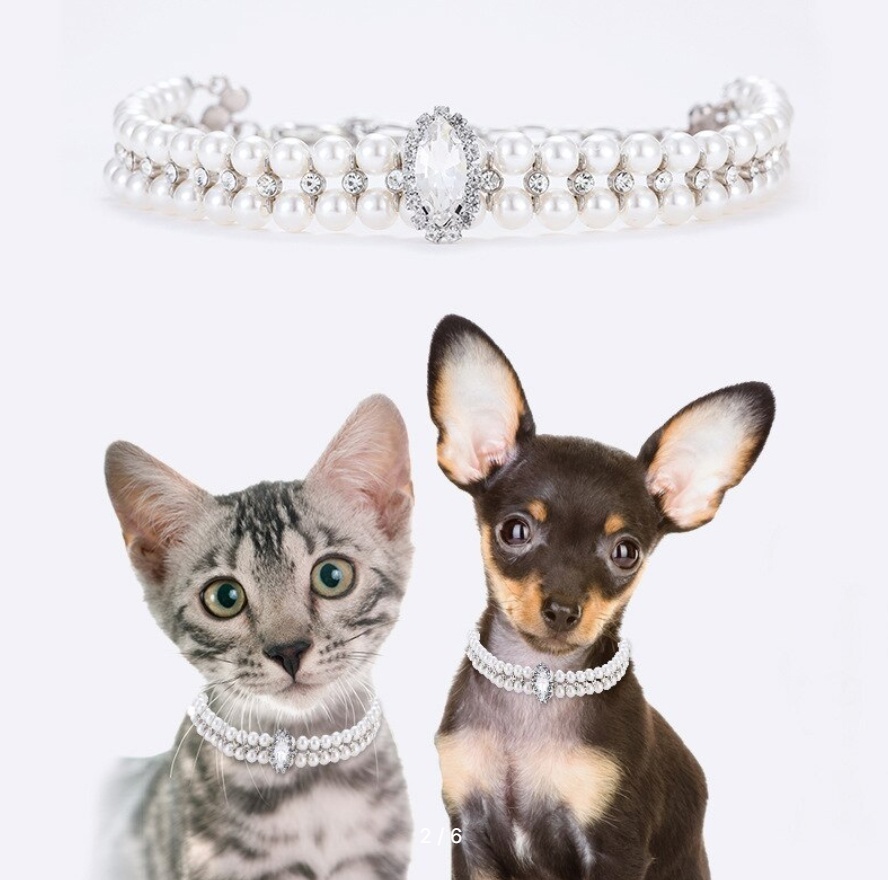 Фэшн для четвероногих: как сделать жизнь питомца комфортнее и стильнее