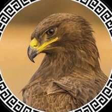 Николаев Александр Степанович, г. Краснодар