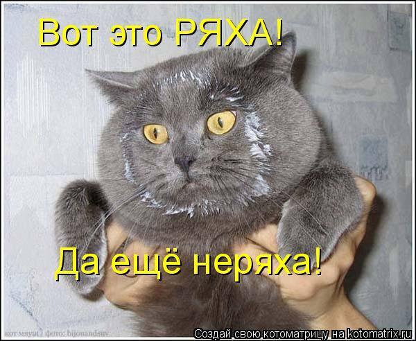 О великом и могучем… 16 исчезнувших слов, от которых остались только антонимы.