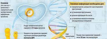 Кратко о грядущих изменениях в стране на ближайшее будущее.