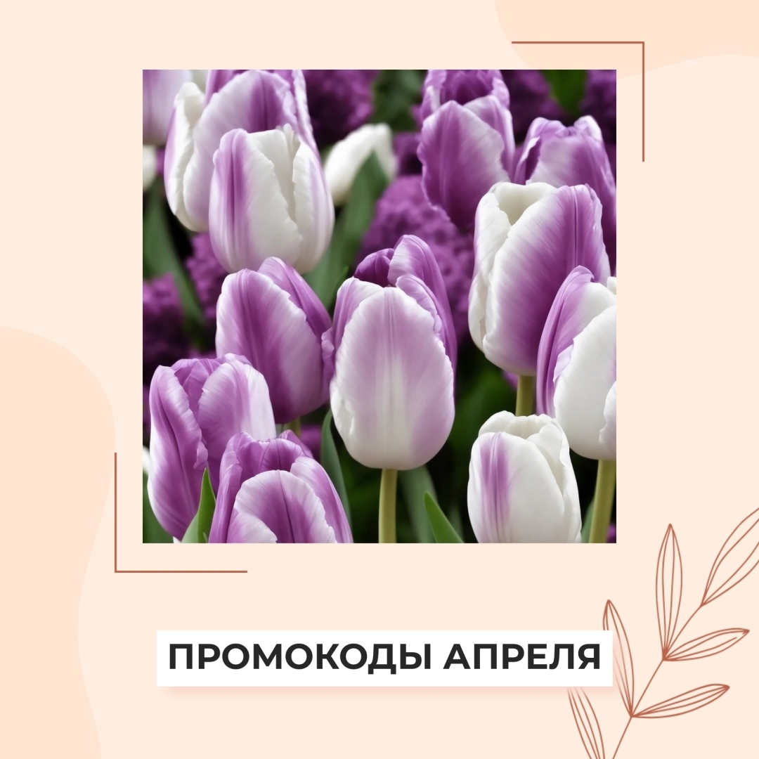 Вы ищете выгодные предложения и скидки на покупки в Интернете? Тогда промо-коды - это то, что вам нужно.