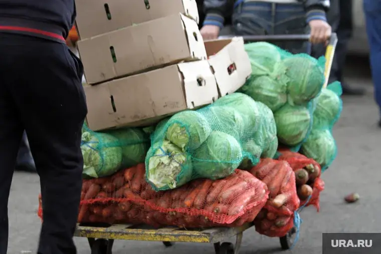 В Челябинске облавы на иностранцев на овощебазах и стройках. Видео