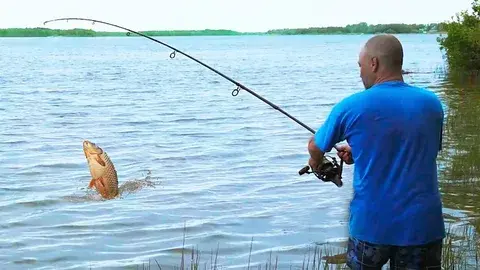 Безупречная рыбалка в городе Астрахань