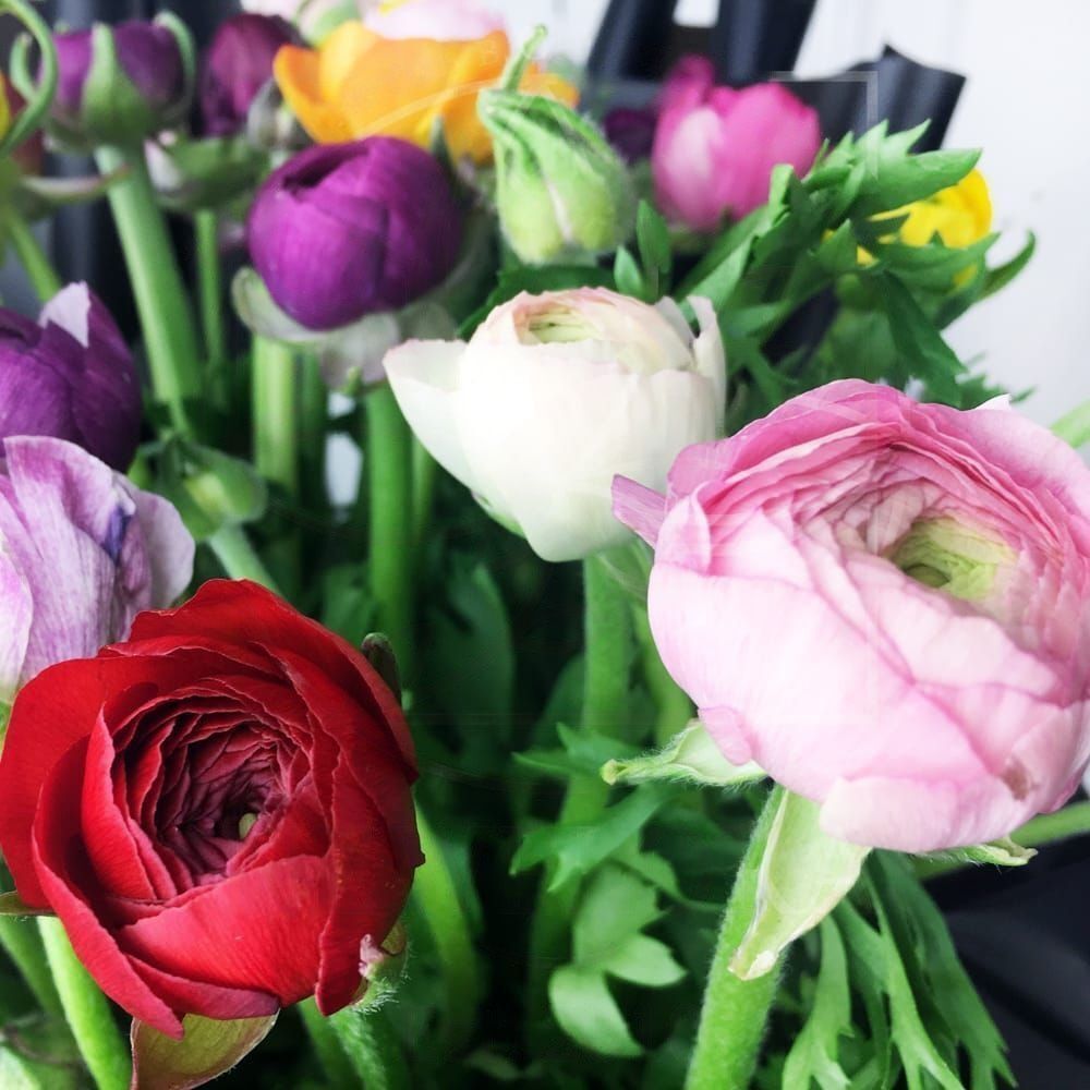 Какие цветы нельзя нюхать?