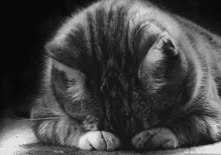 Эмоциональное выгорание!?