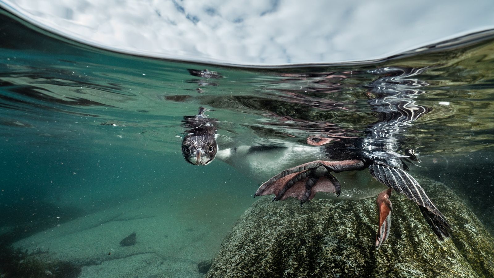 Как мы видим океаны - в фотографиях, просто красивые фото