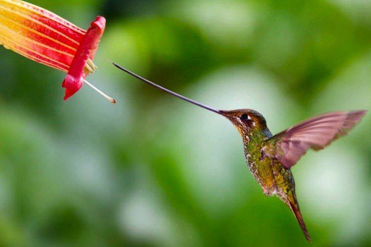 Как мы видим океаны - в фотографиях, просто красивые фото