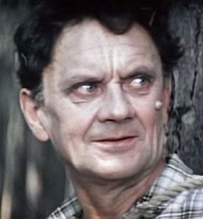 Николай Яковлевич Романов (16.02.1908 — 10.09.1991) — советский актёр театра и кино. "Шеф"