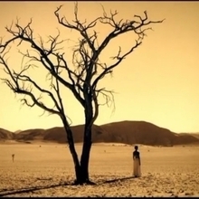 Гость_9584765, г. Краснодар