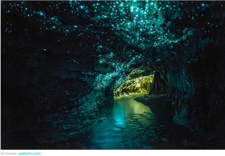 Рубрика: уникальные места мира. Пещера светлячков, Новая Зеландия