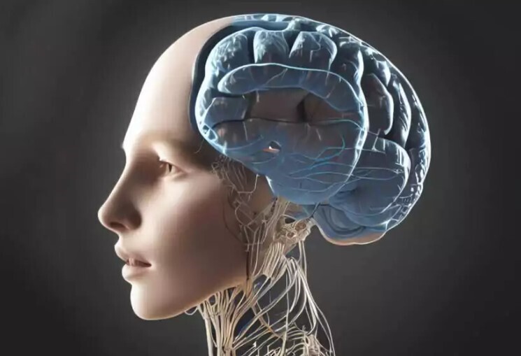 Google поражен: его ИИ выучил новый язык без посторонней помощи