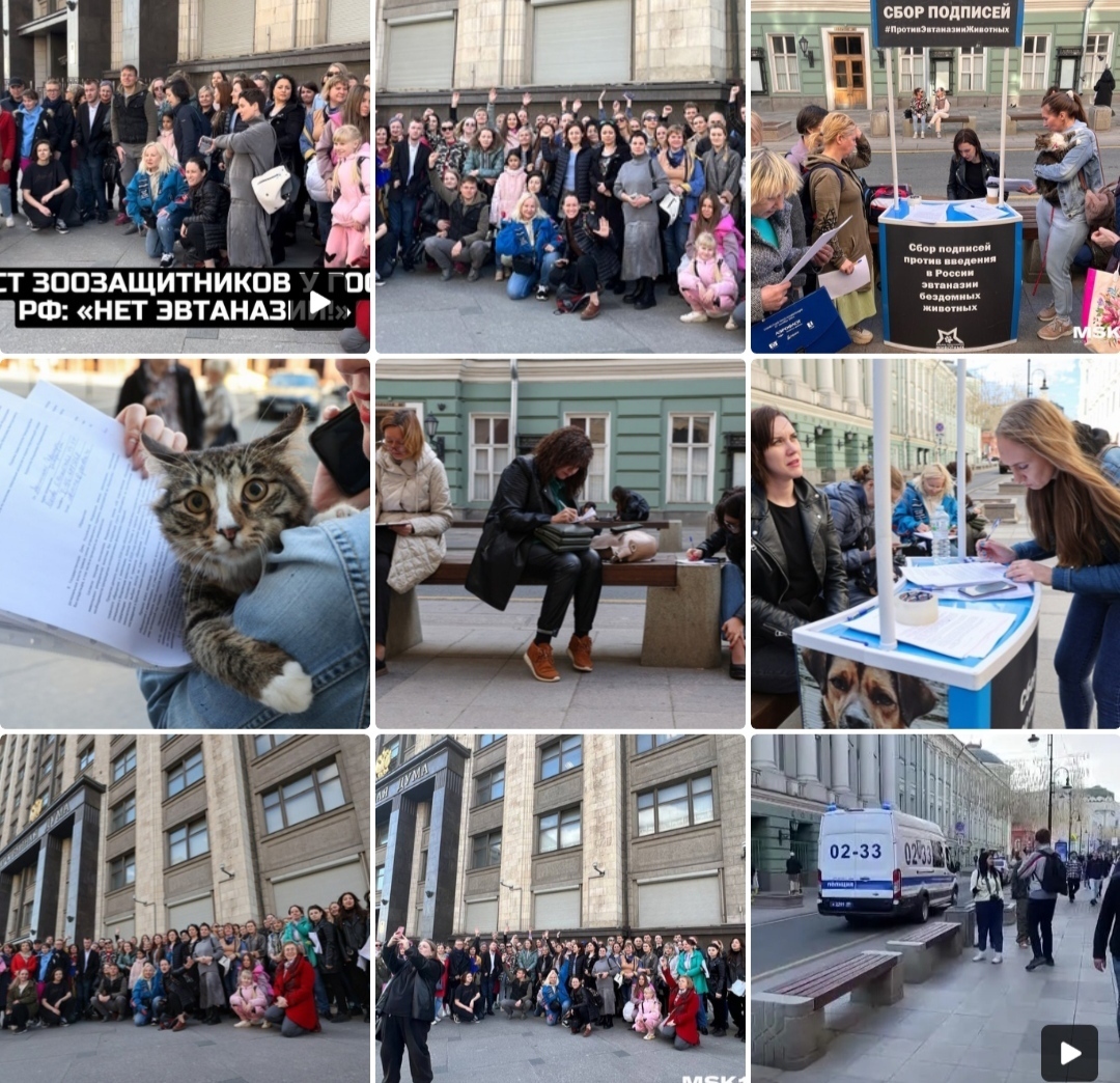 Что же с нами делается? Куда идём? И верим во что?