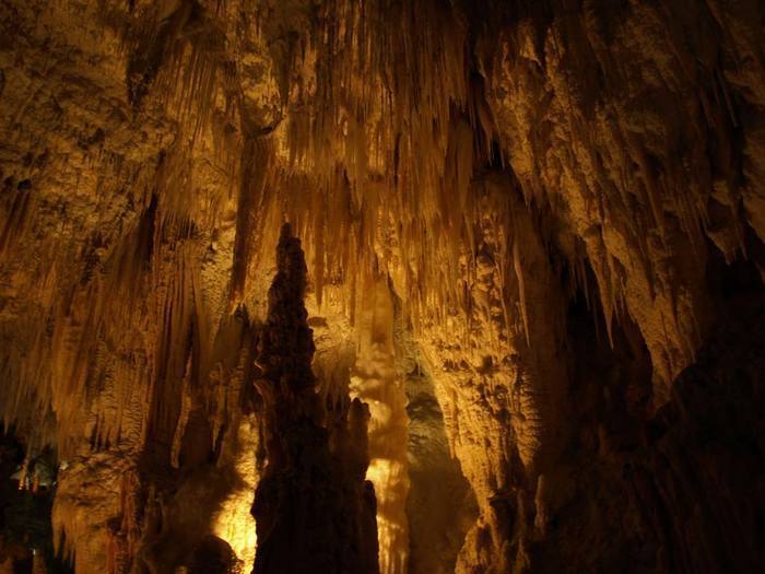 Рубрика: уникальные места мира. Пещера светлячков, Новая Зеландия