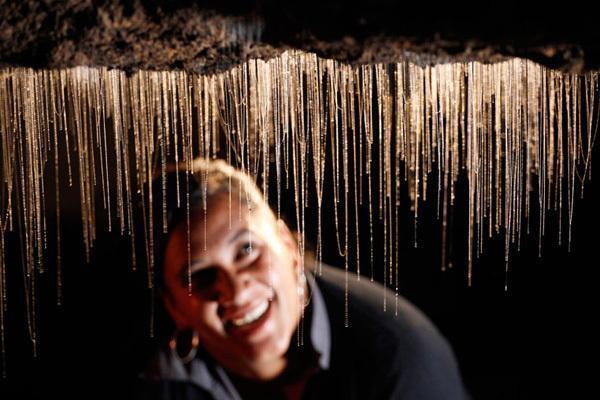 Рубрика: уникальные места мира. Пещера светлячков, Новая Зеландия