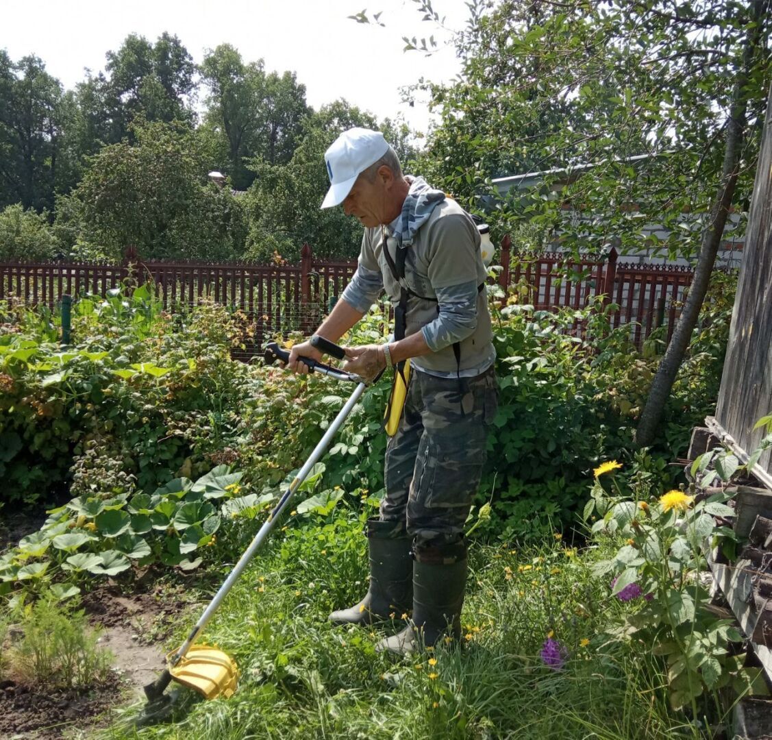 Дачный участок в СНТ - какой забор можно поставить?