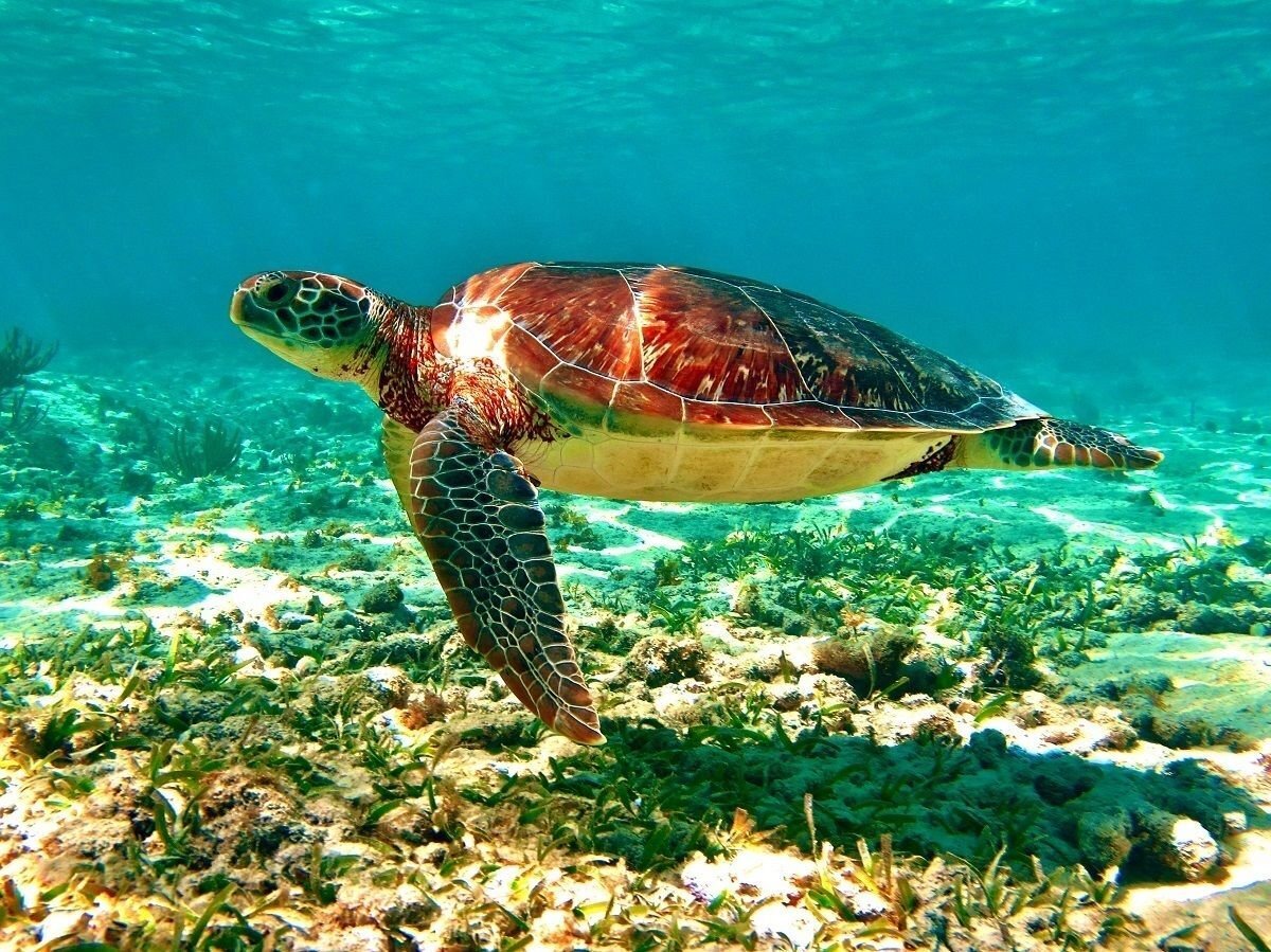 Путешествия: лучшие места для отпуска в этом году