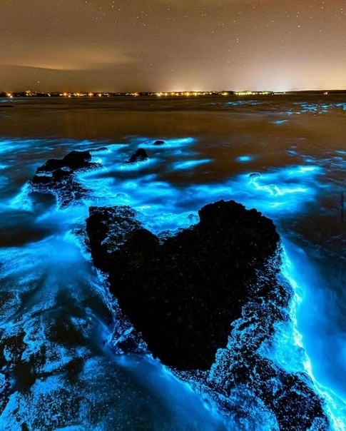 Видеть звук: Исследование феномена превращения звука в свет в воде