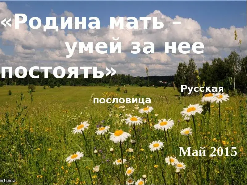 Так чем же должно заниматься каждое благополучное государство?