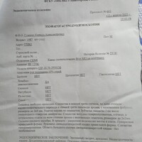 IMG-20230413-WA0003.jpeg