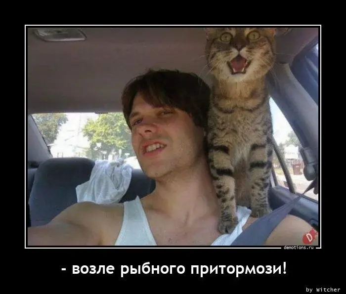 Весёлые картинки (часть 49)