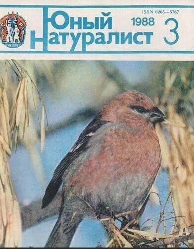 Какие журналы были в СССР? А вы помните?