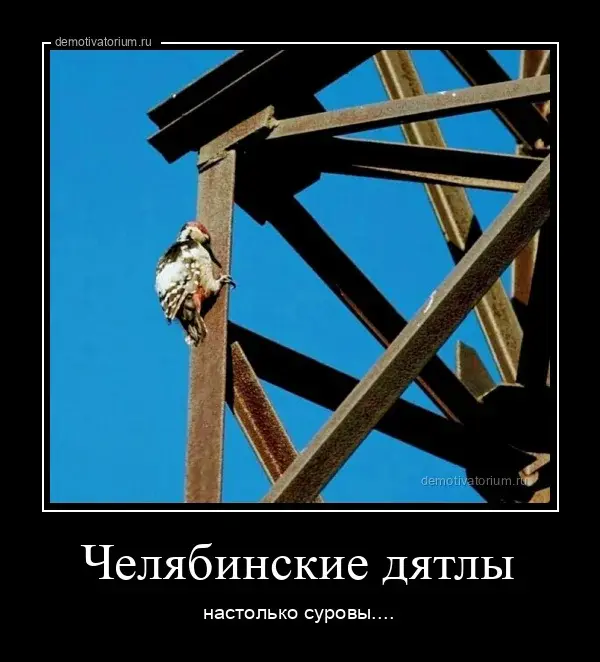 Весёлые картинки (часть 49)