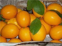 Таджикский лимон.