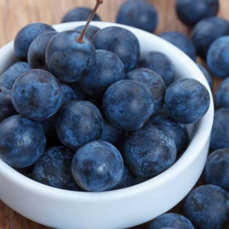 Рассказ про терн