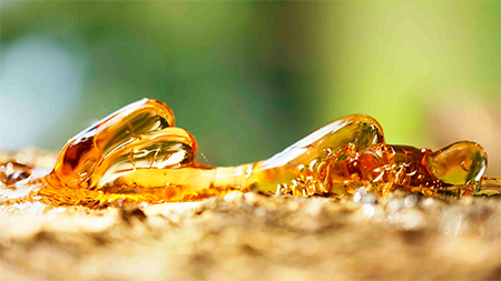 Народные средства борьбы с курением.