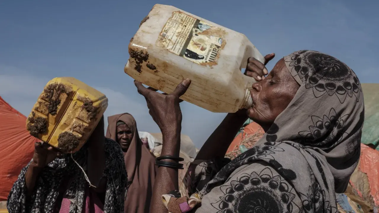 Катастрофическая засуха, которая привела к кризису миллионы людей, в 100 раз более вероятна из-за изменения климата, показал анализ
