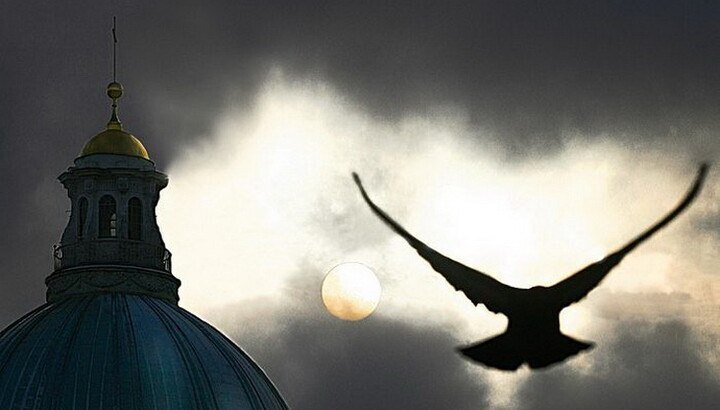 Автофекальный шабаш.