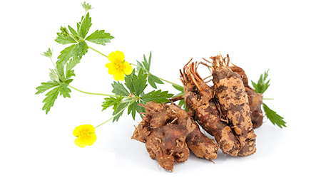 Народные средства борьбы с курением.