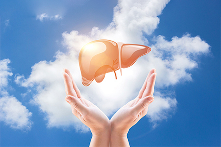 Правильное питание при заболеваниях печени.