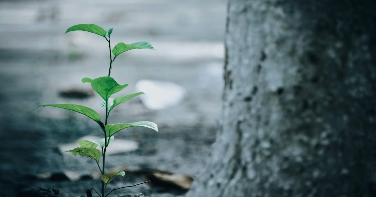 Этапы духовного роста, которые вам нужно знать прямо сейчас