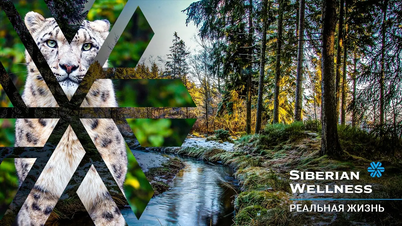 Сетевой маркетинг – новый формат бизнеса