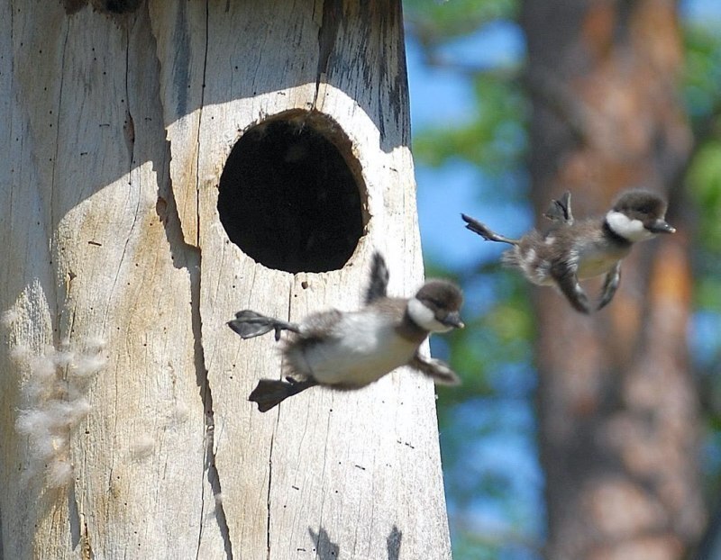 Что такое сепарация от родителей. Как стать взрослой и эмоционально автономной?